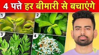 ये पत्ते आपको सैकड़ो बीमारियों से बचाएंगे - Most Effective Leaves For Good health | Fit Tuber Hindi