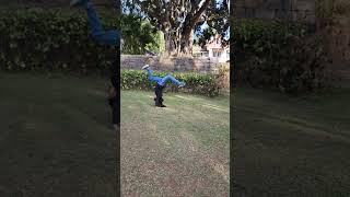 Gymnastic Backwalk over