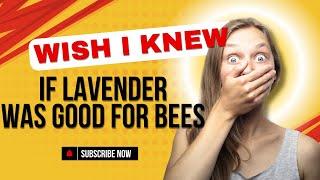 Is Lavender Good For Bees? [Bee Plants By Rank]