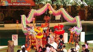 CNY 2024 - Lion Dance by JunWai Dragon and Lion Dance at Zoo Negara Malaysia - 仁威龙狮体育会