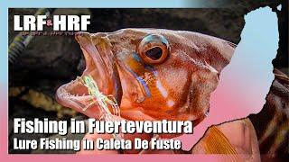 Fishing in Fuerteventura - Lure Fishing Caleta De Fuste