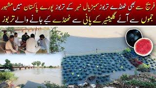 watermelon of Sambrial canal | Sambrial canal | Sialkot Plus