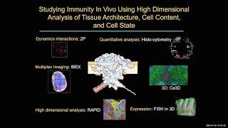 "Deep Understanding of Immune System Organization and Function In Situ" by Dr. Ron Germain