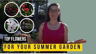 Best Flowers for the HOT summer sun! | Catherine Arensberg