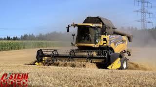 New Holland CX 780 Weizen Ernte 2020 Dreschen  - N Stein Video