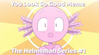 You Look So Good Meme || The Helmsman Series #1