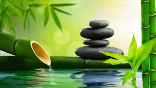 Beautiful Piano Music - Bamboo, Peaceful Music, Relaxing Music, Meditation Music, Nature Sounds