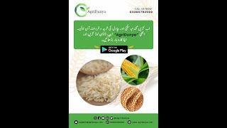 AgriDunya | Pakistan First Digital Online Trade | Empower Farmers & Agriculture Sector