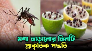 মশা তাড়ানোর তিনটি প্রাকৃতিক উপায়। Natural ways to repel mosquitoes