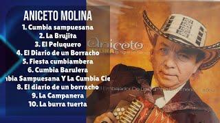 Aniceto Molina-Hits that stole the show-Best of the Best Mix-Hailed