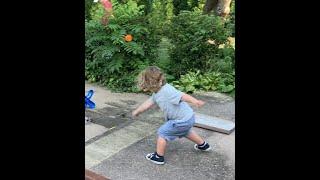 Yanchik Throws A Ball In The Yard