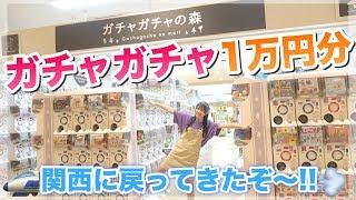 「ガチャガチャ1万円分」関西最大級のガチャガチャを大量に回してきた！！【ガチャガチャの森 】