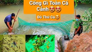 Bổ Sung Thêm Đủ Loại Cá Cảnh Bắt Ở Suối Vào Hồ Cộng Đồng,Lên Ý Tưởng Cho Hồ Nuôi Rùa Nước|MrMén TV!