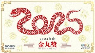 [金丸獎2024] 壓歲錢就決定買這顆吧!! 年度最佳魔術方塊票選結果揭曉!