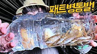 패트병 통발로 계곡물고기 싹슬이! 대박터졌다!