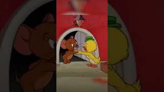 Tom and Jerry Short video #animation #anime #funnyvideo #tomandjerry #funnyshorts #animal #tom