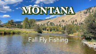 Fall Fly Fishing in MONTANA:  Streamers, Dry-Dropper, and Nymphing Success