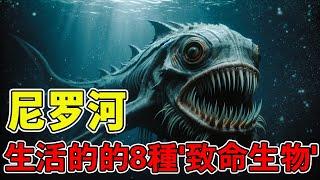 生活在尼罗河的8种'致命生物'！尼罗河究竟有多可怕？又怎样的生物让人恐惧