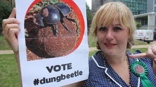 Ugly animal vote - Flightless dung beetle (Sarah Bennetto)