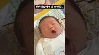 [⭐️70만] 신생아실에서 아기 바뀐줄…누구냐 넌?