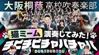 Dubidubidu（チピチピチャパチャパ）（猫ミーム）【大阪桐蔭吹奏楽部】