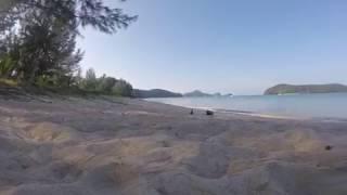 Birds on the beach (Pantai Tengah, Langkawi)