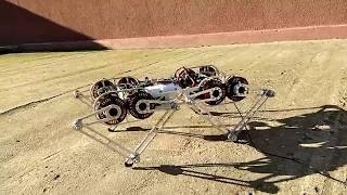 MAB Robotics: prototype of walking dynamic robot