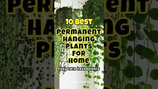 Best permanent hanging plants for home / plants for hanging pots #indoorplants #plants #shorts