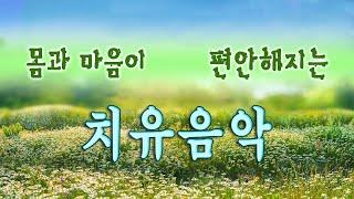 머리가 맑아지는 숲 속 치유음악 하루10분 만병을 치료 해주는 힐링 명상 기치료 음악 및 영상아침명상음악 - 아침음악 - 힐링음악 - 명상음악 - 스트레스해소음 음악