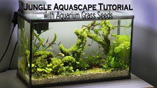 Jungle Aquascape Tutorial with Aquarium Grass Seeds