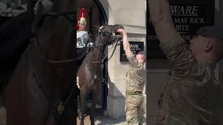 HORSE PLAYS WITH SOLDIER  | Horse Guards, Royal guard, Kings Guard, Horse, London, 2024