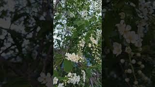 Красота природы!