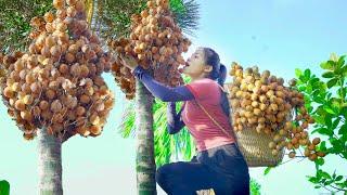 Harvesting Areca Nuts - Making Pickled Bamboo Shoots to Sell at the Market - Thanh Farm