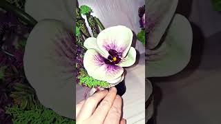 Уникальные композиции: #shots, #орхидея, #декор для дома, #композиция с орхидеей, #стильный декор