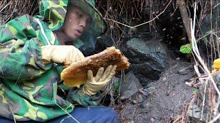 Pao chuẩn bị gỗ làm cổng: Một ngày tuyệt vời để thu hoạch mật ong rừng