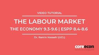 Video tutorial: The labour market (WS/PS) model for the aggregate economy