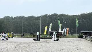 Amirah jumping a clear round in the 1.40 class today in Harich. 6/7/24.