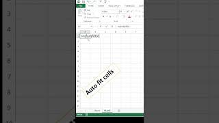 automatic adjust cell column width length | excel