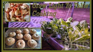 Making Fresh Bagels In The Bread Machine And A Quick Stir Fry Using Grow Light Bok Choy