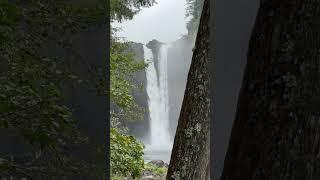 Some real Twin Peaks vibes at Snoqualmie Falls.
