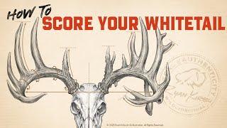 How To Score A Deer!!!  Plus A FREE Scoresheet download!