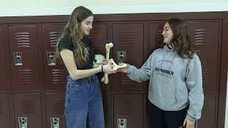 Abigail and Fiona - Model some vocab with props!