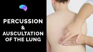 Percussion & Auscultation of the Lungs - OSCE Guide | Clip | UKMLA | CPSA | PLAB 2