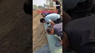 Fish pond bank reinforcement: showcasing the process