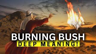 The DEEP MEANING of the Burning Bush!