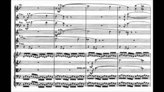 Ferrucio Busoni - Divertimento for Flute and Orchestra Op. 52 (1920)