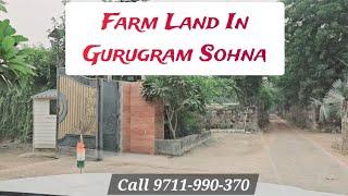 For sale Farm Land In Gurugram Sohna