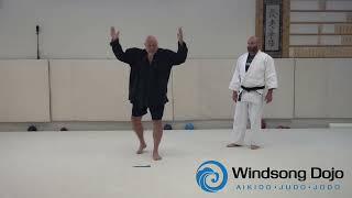 Aikido with Nick Lowry: Chains from Second Release