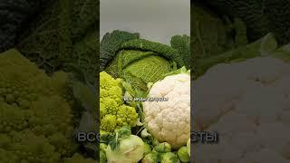 Просто ЕШЬ ЭТИ ПРОДУКТЫ и ты ПОХУДЕЕШЬ! Секрет похудения ГОЛЛИВУДСКИХ ЗВЕЗД! Никаких диет #диетолог