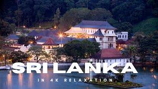 Escape to Sri Lanka: Breathtaking 4K Views for Relaxation. #thehowtoacademy